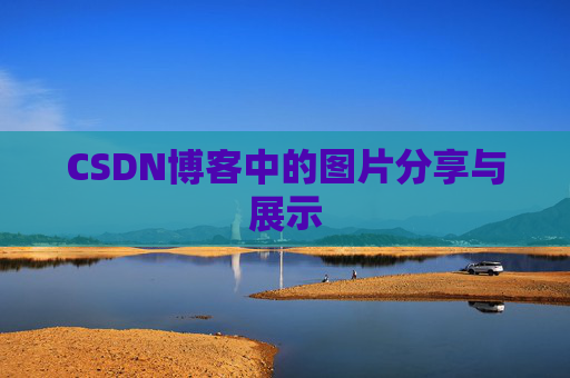 CSDN博客中的图片分享与展示